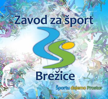 Javni razpis za direktorja Zavoda za šport Brežice