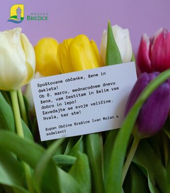 Voščilo ob dnevu žena