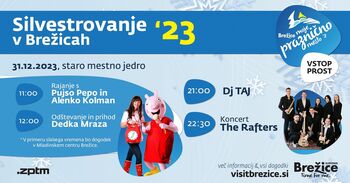 Vabljeni na silvestrovanje v Brežice