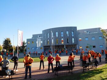 Društvo Šola zdravja vabi na razgibavanje preko Zooma