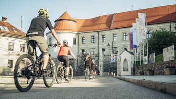 Kolesarsko popotovanje "S kolesom ob Savi" od Radeč do Brežic