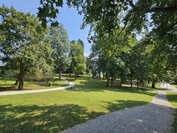 Obnovitev grajskega parka v Brežicah