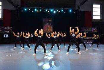 Vabljeni na mednarodni plesni festival ‘’Master Dance Festival - LUKEC OPEN’’