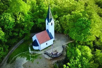 Obvestilo o sečnji na severnem pobočju Šentviške gore