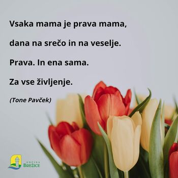 Voščilo župana ob materinskem dnevu
