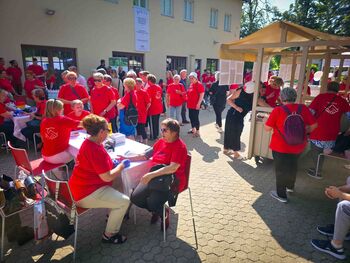 VitaMed – Sejem zdravega življenjskega sloga v Brežicah - petek, 11. 7. 2025