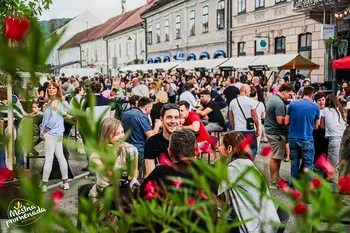 Na otvoritvenem večeru Mestne promenade Brežice 2025 prejeli prestižno priznanje Slovenia Green Destination Platinum