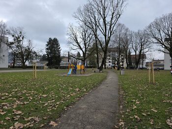 Občina Brežice nadaljuje z urejanjem zelenih površin v mestu