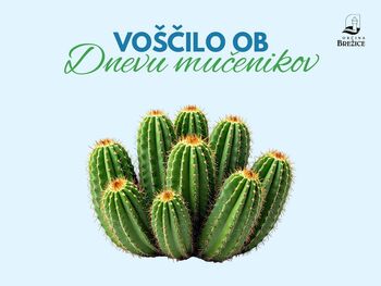 Voščilo ob dnevu mučenikov Voščilo ob dnevu mučenikov