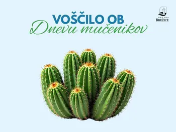 Voščilo ob dnevu mučenikov