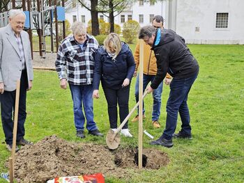 Občina Brežice tudi s sajenjem lip izkazala podporo čebelarstvu in čebelam