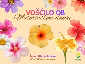 Voščilo župana ob materinskem dnevu