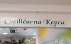 CVETLIČARNA KEPCA ŠPELA KEPEC S.P.
