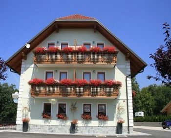 Pension Török, Török Aleksander, s.p.