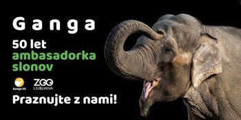 ZOO Ljubljana - vsak dan drugačen