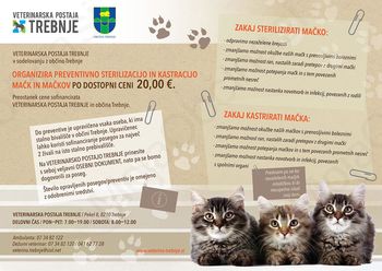 SOFINANCIRANJE STERILIZACIJ IN KASTRACIJ LASTNIŠKIH MAČK IN MAČKOV