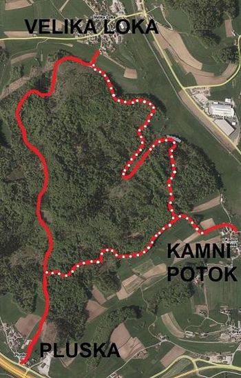 VABILO na otvoritev gozdnih cest Velika Loka-Mlačne in Pluska-Mlačne