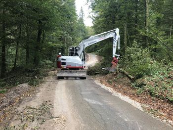 Pričetek rekonstrukcije odseka ceste Trebnje - Repče