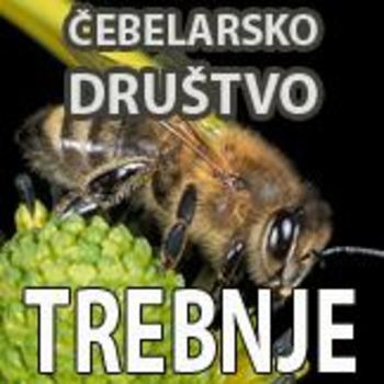 Aktivnosti Čebelarskega društva Trebnje v Glavarjevem letu 2021