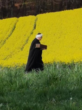 300 let Petra Pavla Glavarja