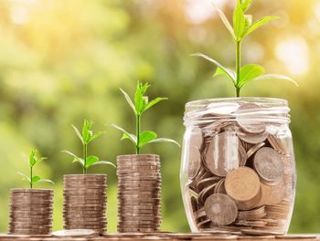 RAZPIS GARANCIJ IN POSOJIL IZ GARANCIJSKE SHEME ZA DOLENJSKO ZA LETO 2022