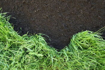 MOŽEN PREVZEM KOMPOSTA