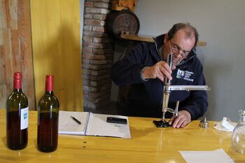 NA OCENJEVANJU VIN NA ČATEŽU IZBIRALI TUDI ŽUPANJINO VINO