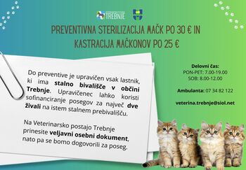 SUBVENCIONIRANJE STORITEV STERILIZACIJE MAČK IN KASTRACIJE MAČKOV