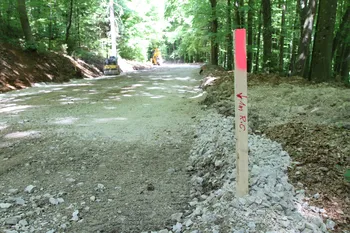 CESTA PROTI REPČAM ŽE DOBIVA NOVO PODOBO