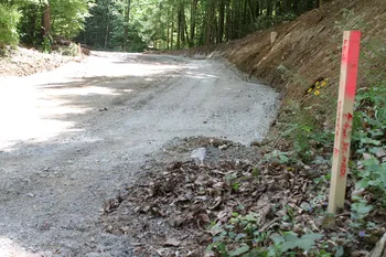 CESTA PROTI REPČAM ŽE DOBIVA NOVO PODOBO