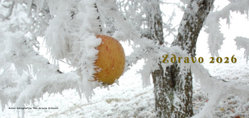 PRAZNIČNO VOŠČILO