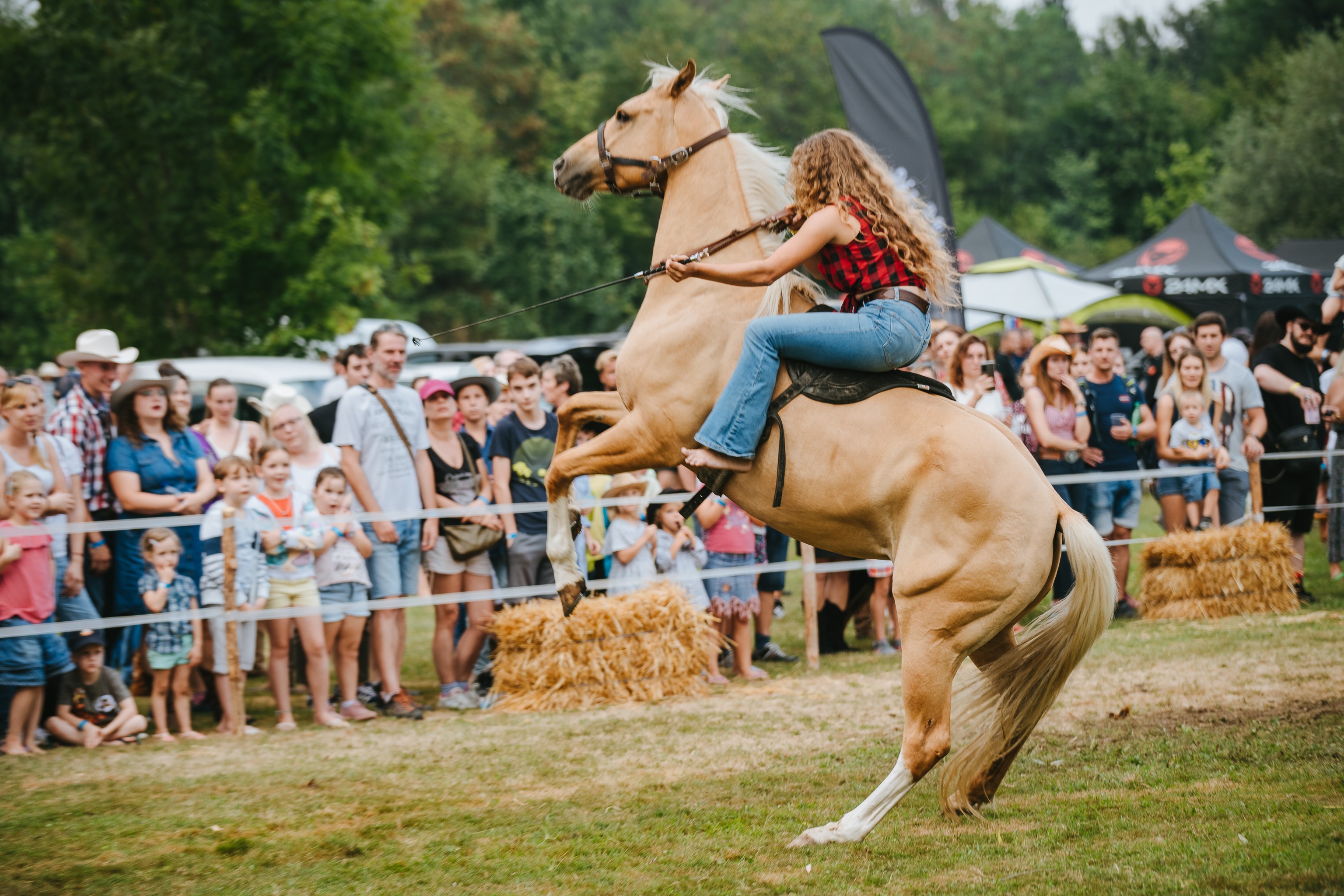 SLOVENSKO DRUŠTVO ZA DIMLJENJE IN PEKO NA ŽARU