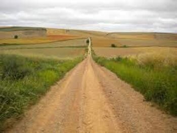 CAMINO - DOM TISOČETIH ČUDES