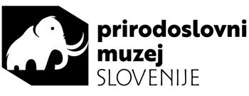 KUSTOS VII/2 G027012 - M/Ž