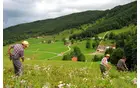 DRUŠTVO TRILLEK, DRUŠTVO ZA OHRANITEV STARIH OBIČAJEV