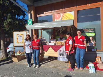 HUMANITARNA AKCIJA DROBTINICA