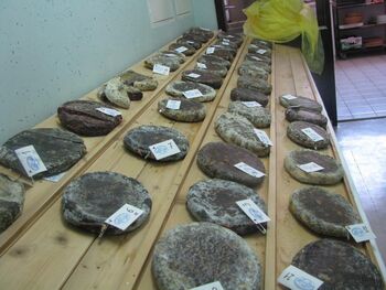 VPRAŠALNIK ZA IZDELOVALCE ŽELODCEV