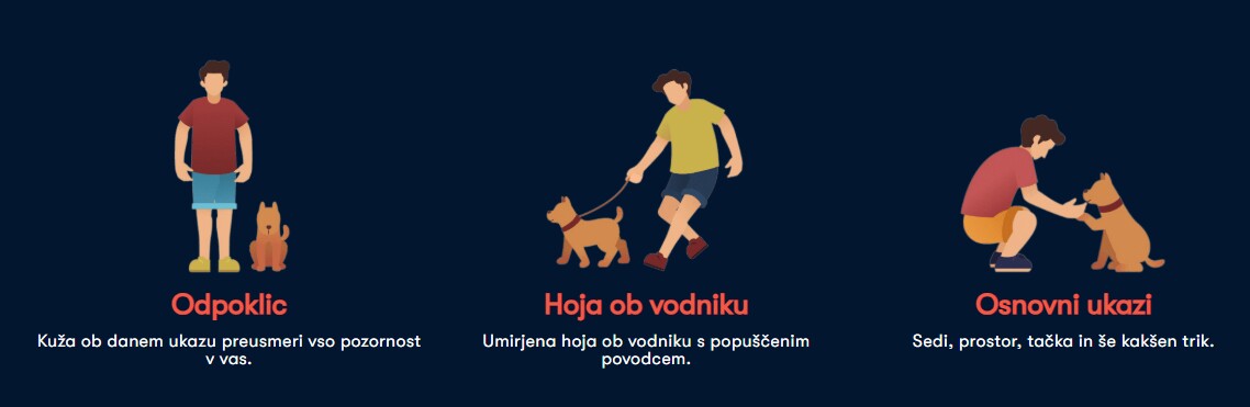 Pasja Šola DogWork