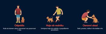Pasja Šola DogWork
