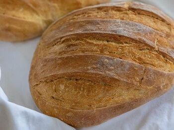 Zbiramo stare jedi: domači kruh (Francka Dolinar)