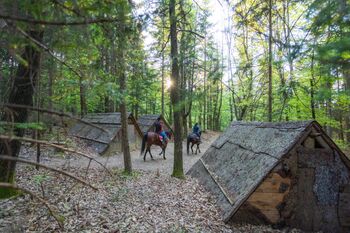 Udin boršt: priložnost za umik vase in v naravo