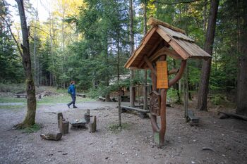 Udin boršt: priložnost za umik vase in v naravo
