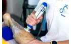 Šepi Fizio, Klemen Šepul, s.p. - PE: Center fizioterapije Šepul