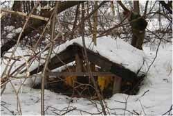 Poziv k nevznemirjanju in nekrmljenju divjadi