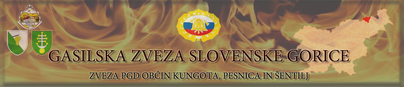 GASILSKA ZVEZA SLOVENSKEGORICE