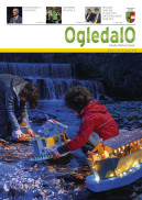 Ogledalo 153